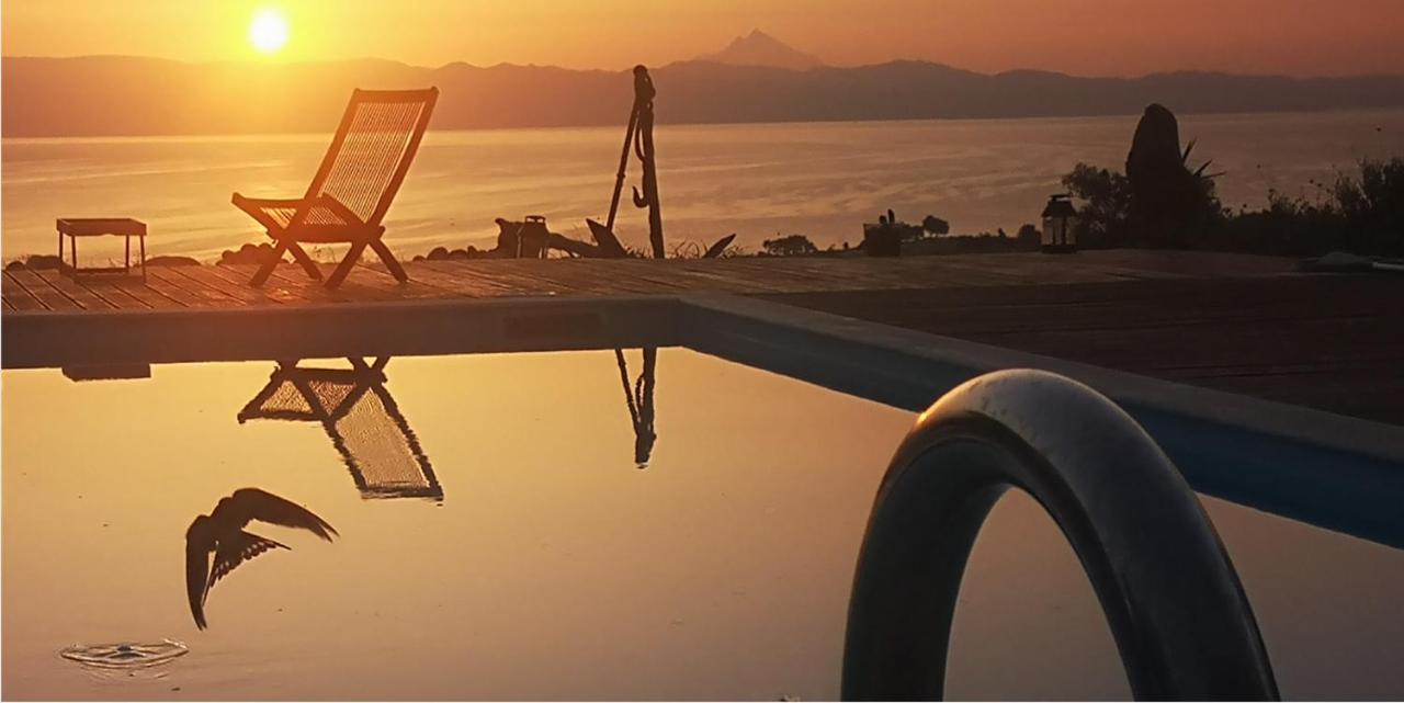 Villa Freebird Vip Bachelor Party & Wedding Events 佩科霍里 外观 照片