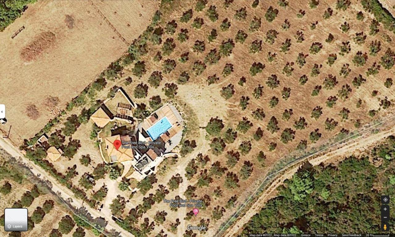 Villa Freebird Vip Bachelor Party & Wedding Events 佩科霍里 外观 照片